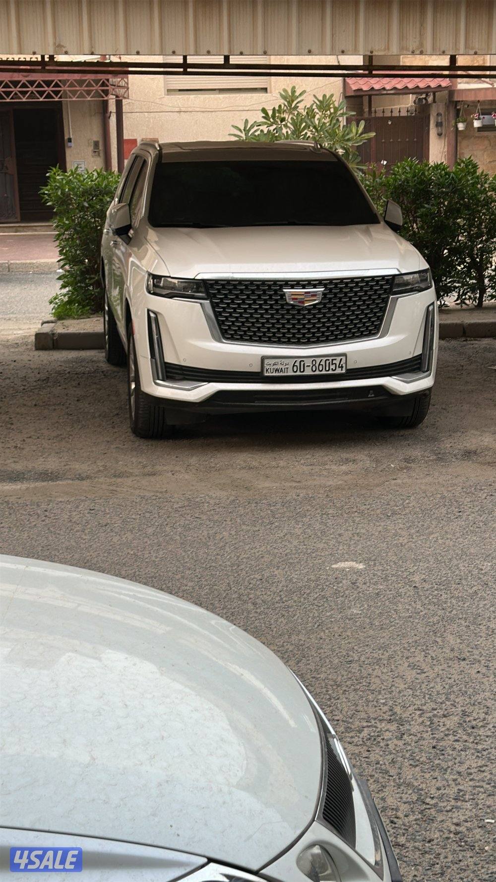 اسكاليد 20219