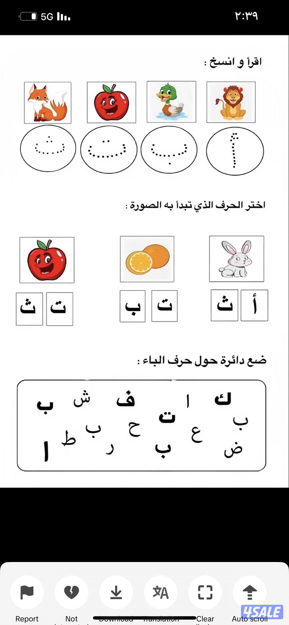 معلمه تأسيس لغه عربيه0