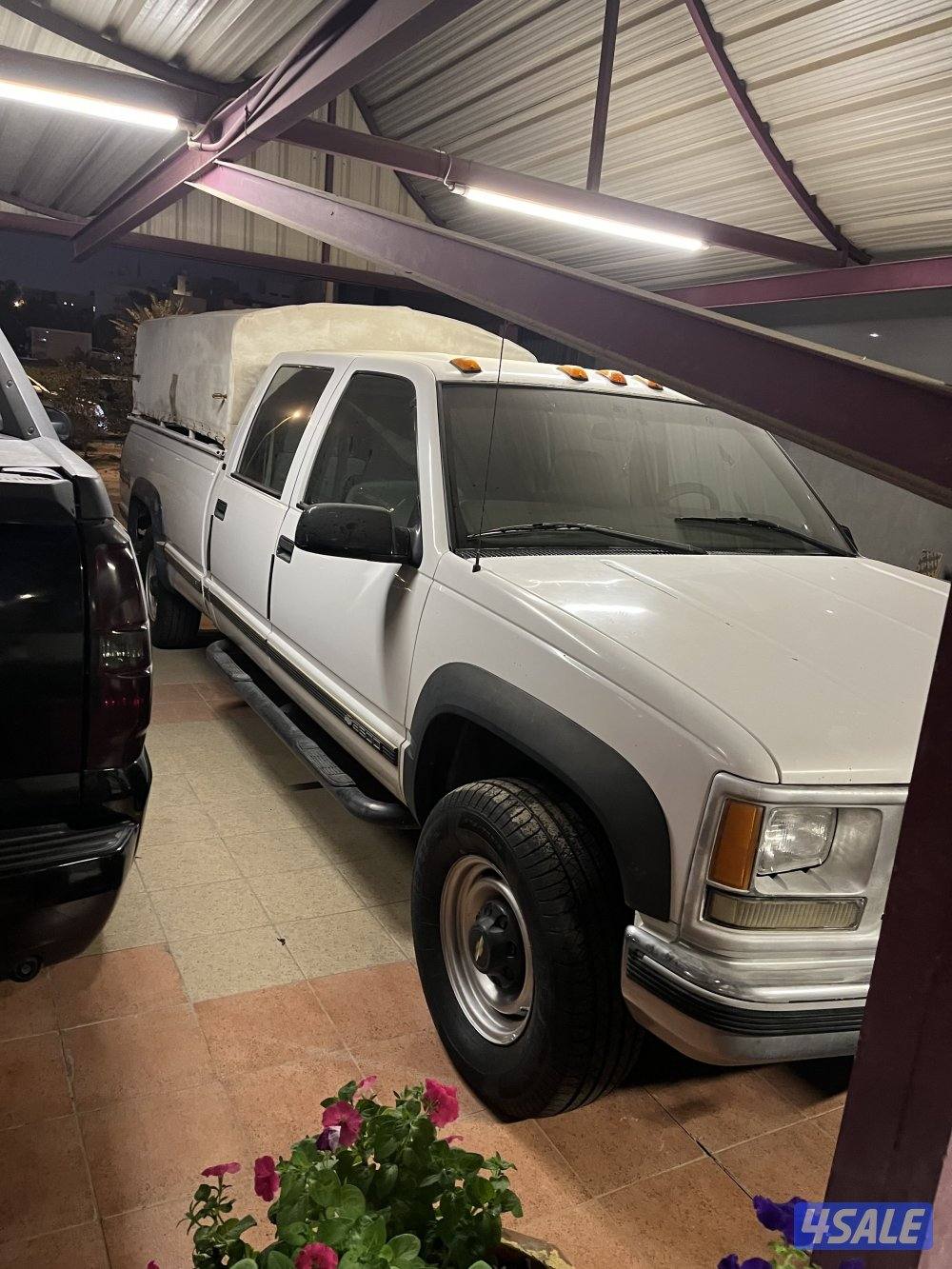 وانيت شفر ١٩٩٨1