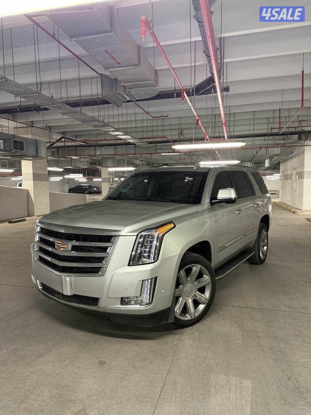 اسكاليد  ESV Premium Luxury 20183