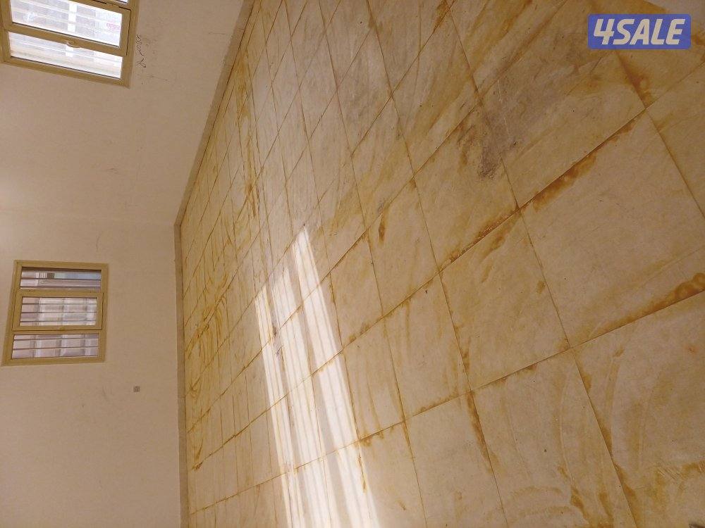 غسيل بالشامبو - تنظيف ناشف - غسيل سجاد برادي - اثاث - كنفات - شقق - فل7