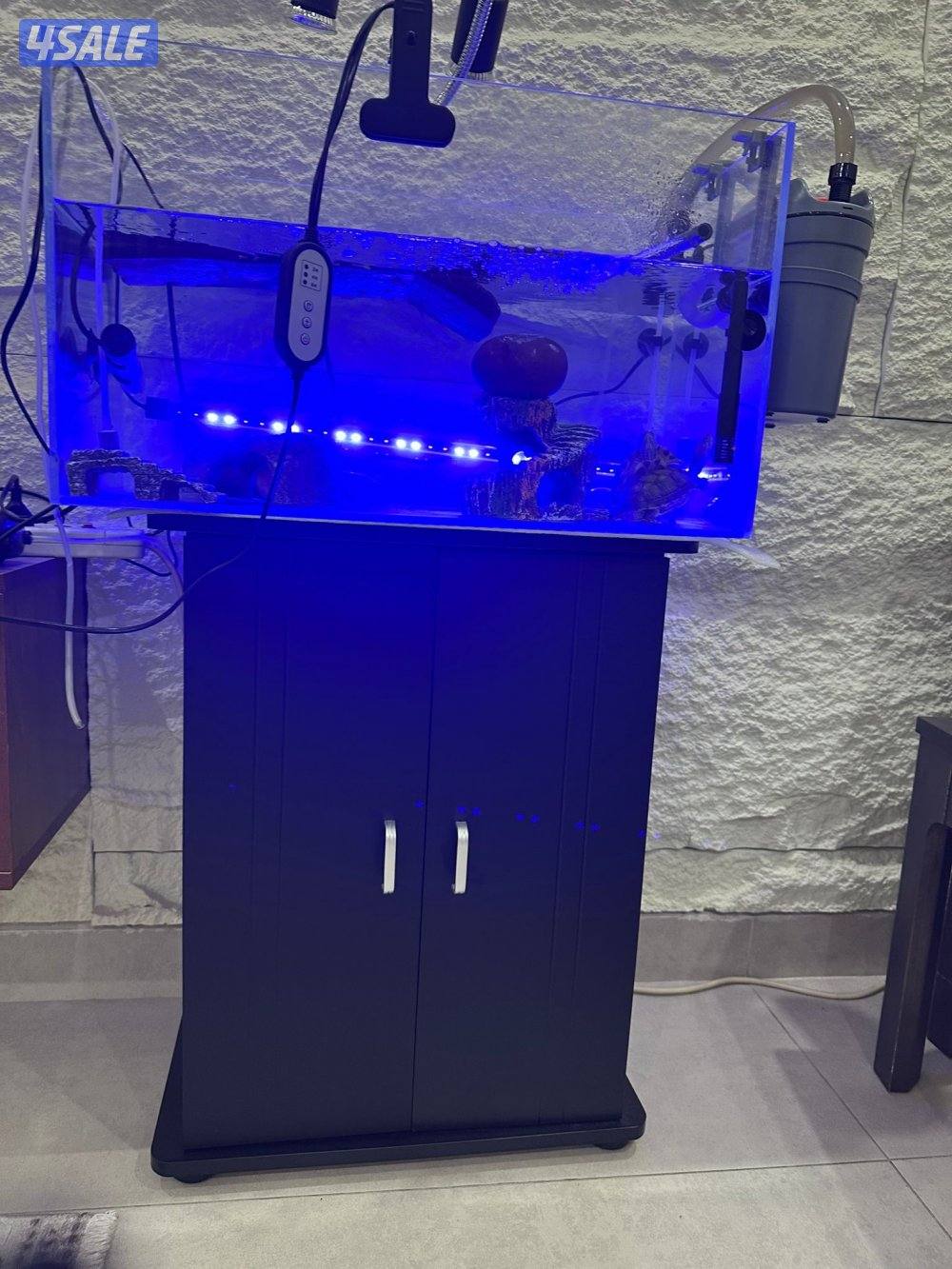 🐢 بيع سلاحف مائية مع كامل التجهيز العدد 32