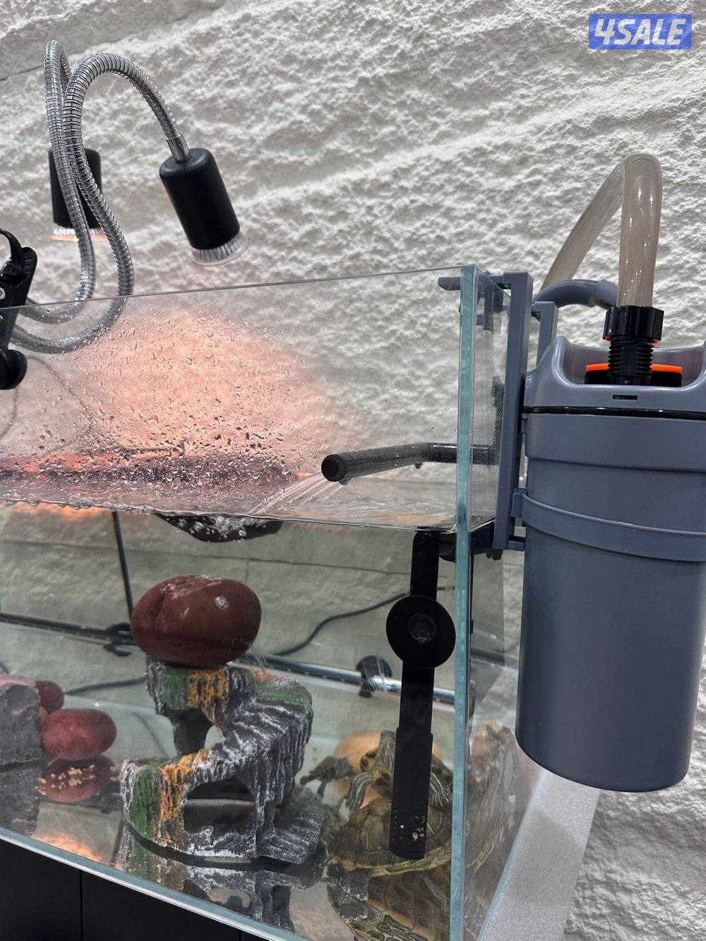 🐢 بيع سلاحف مائية مع كامل التجهيز العدد 33