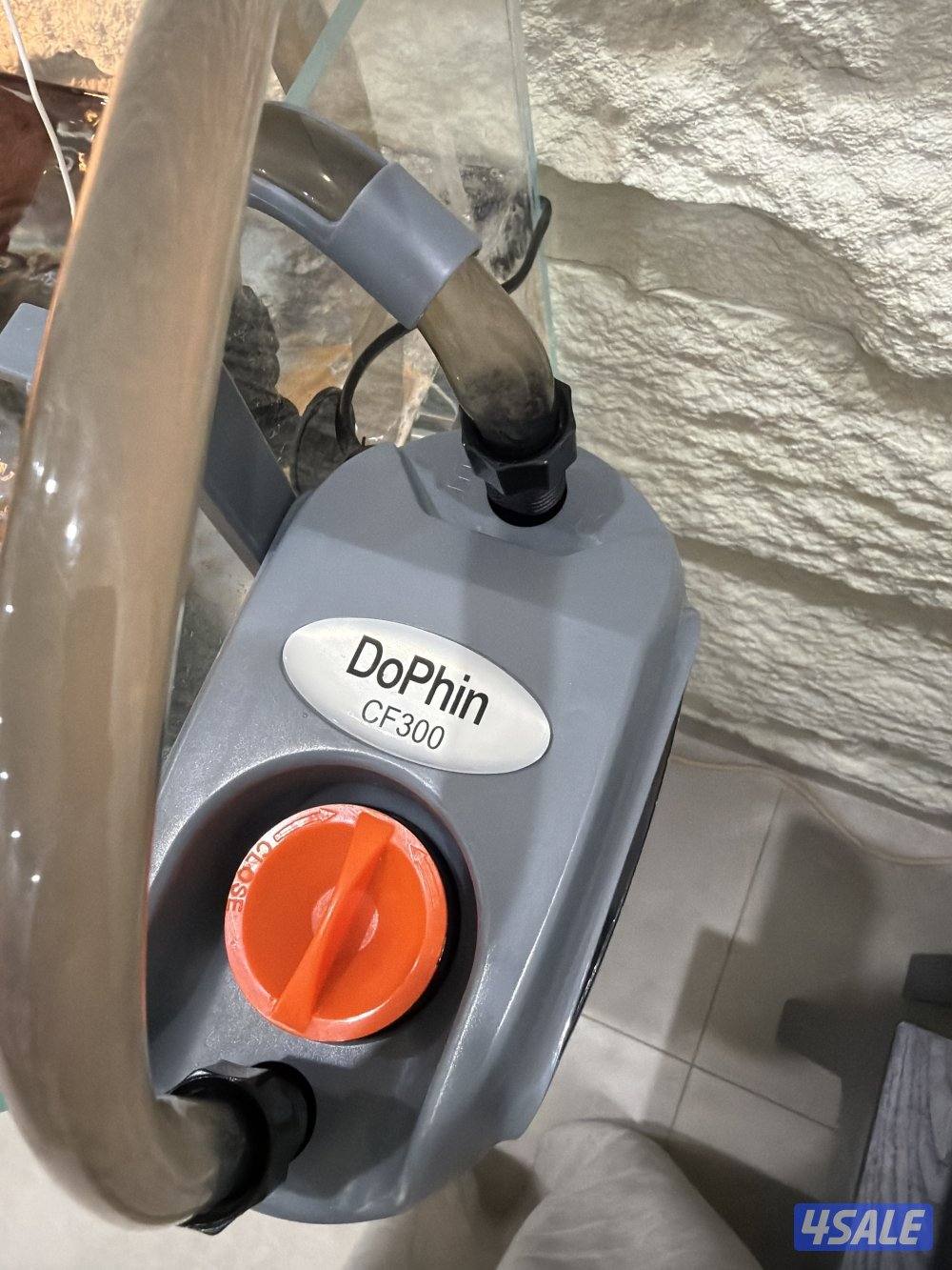 🐢 بيع سلاحف مائية مع كامل التجهيز العدد 35