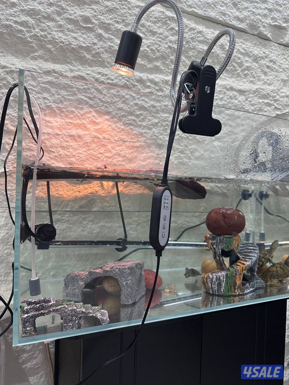 🐢 بيع سلاحف مائية مع كامل التجهيز العدد 36