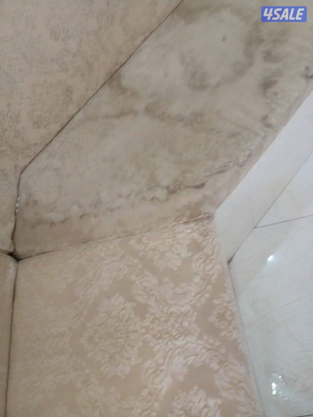 غسيل بالشامبو - تنظيف ناشف - غسيل سجاد برادي - اثاث - كنفات - شقق اميك9