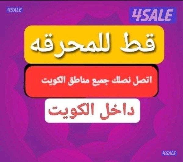 قط@اغراض@قط@اغراض@قط@اغراض@قط@اغراض0