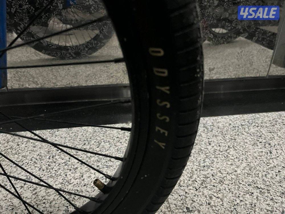 قاري سبروسا اصلي مرتب3