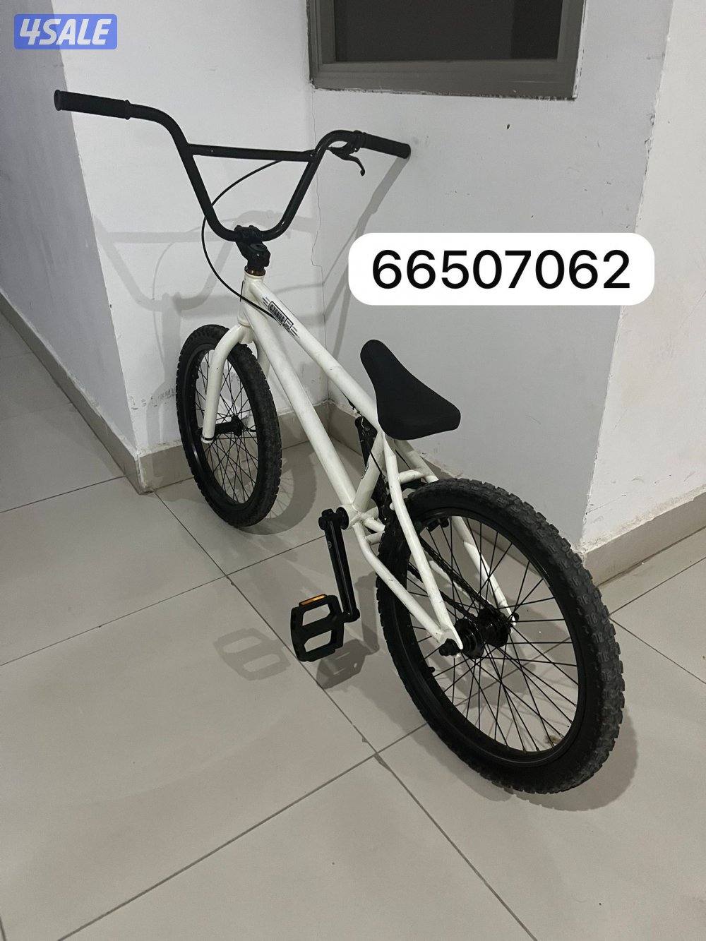 قاري dk cygnus اصلي2