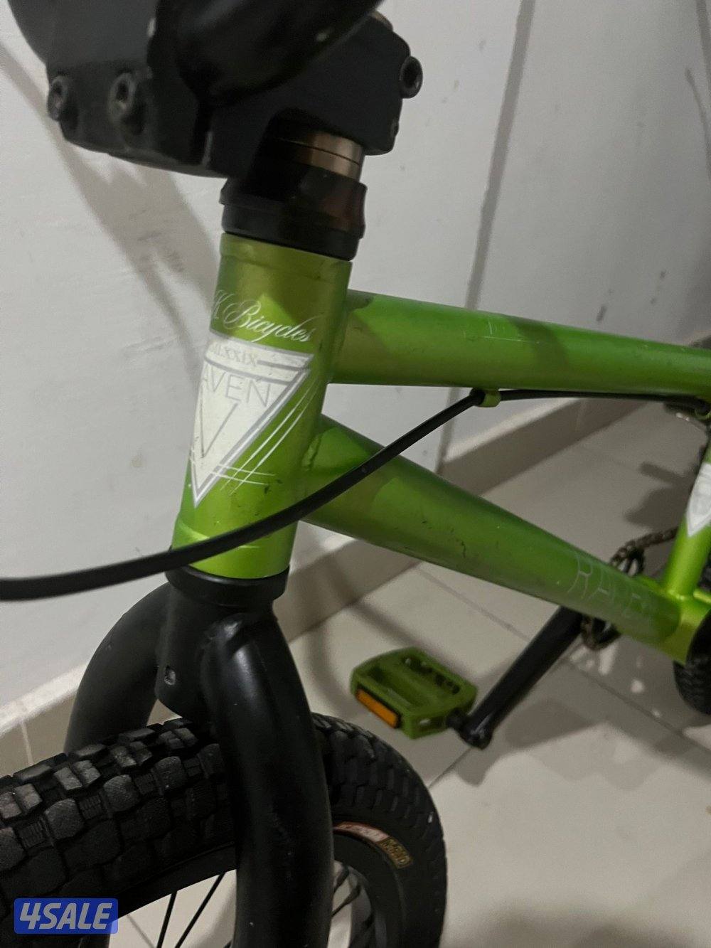 Dk ريڤين نضيف5