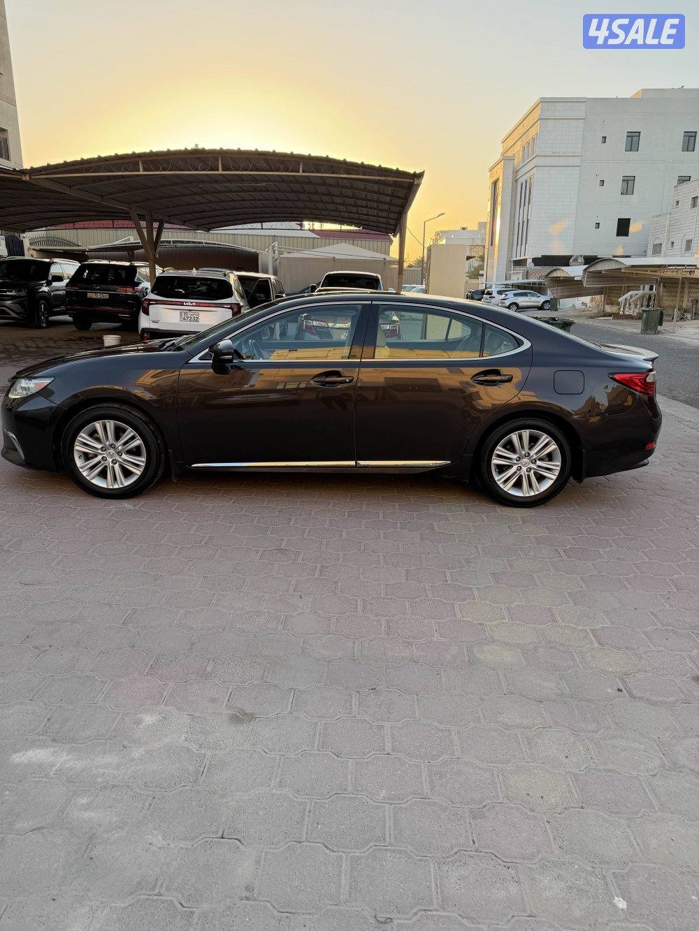 صبغ الوكالة ES 2503