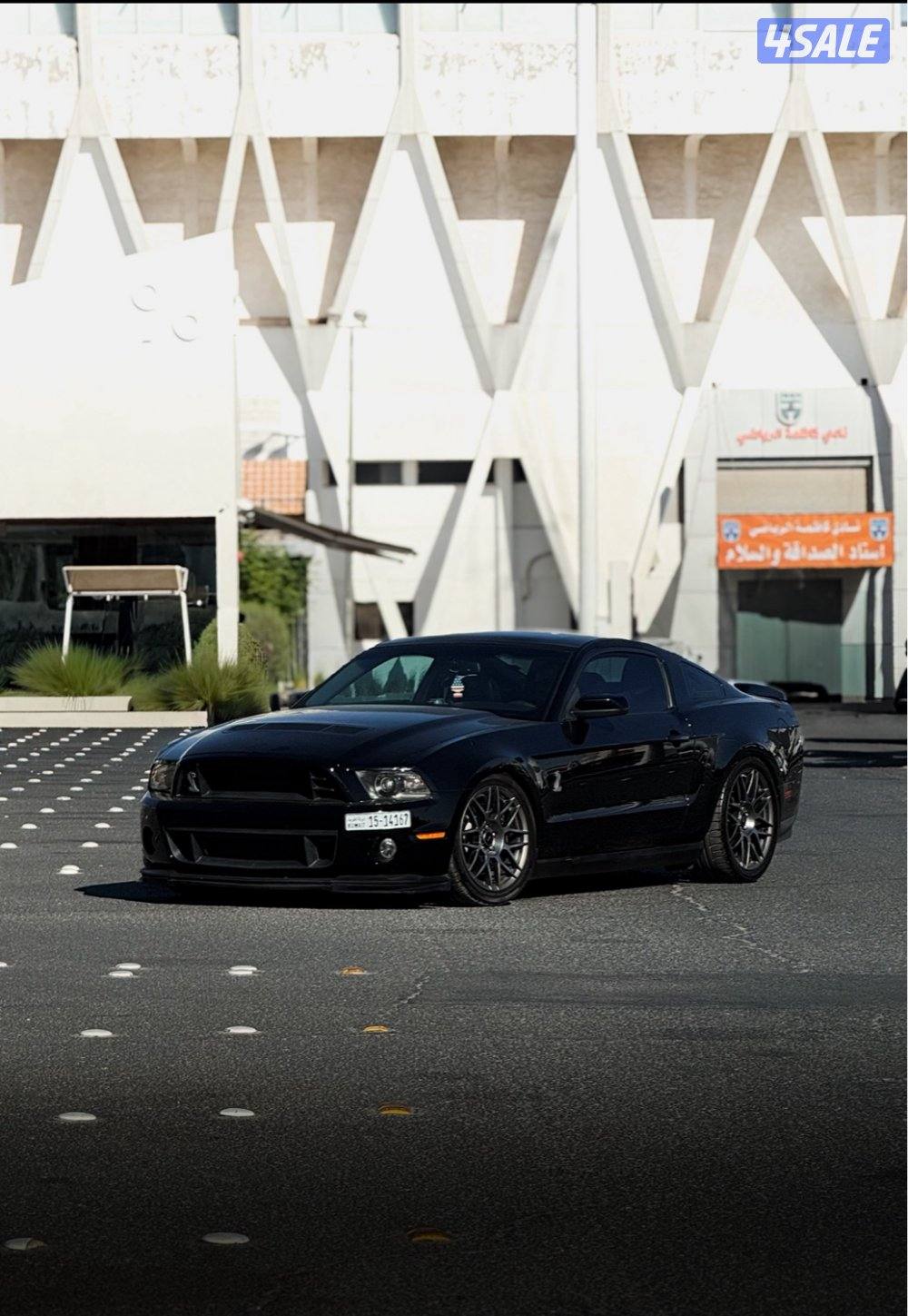 Shelby20110