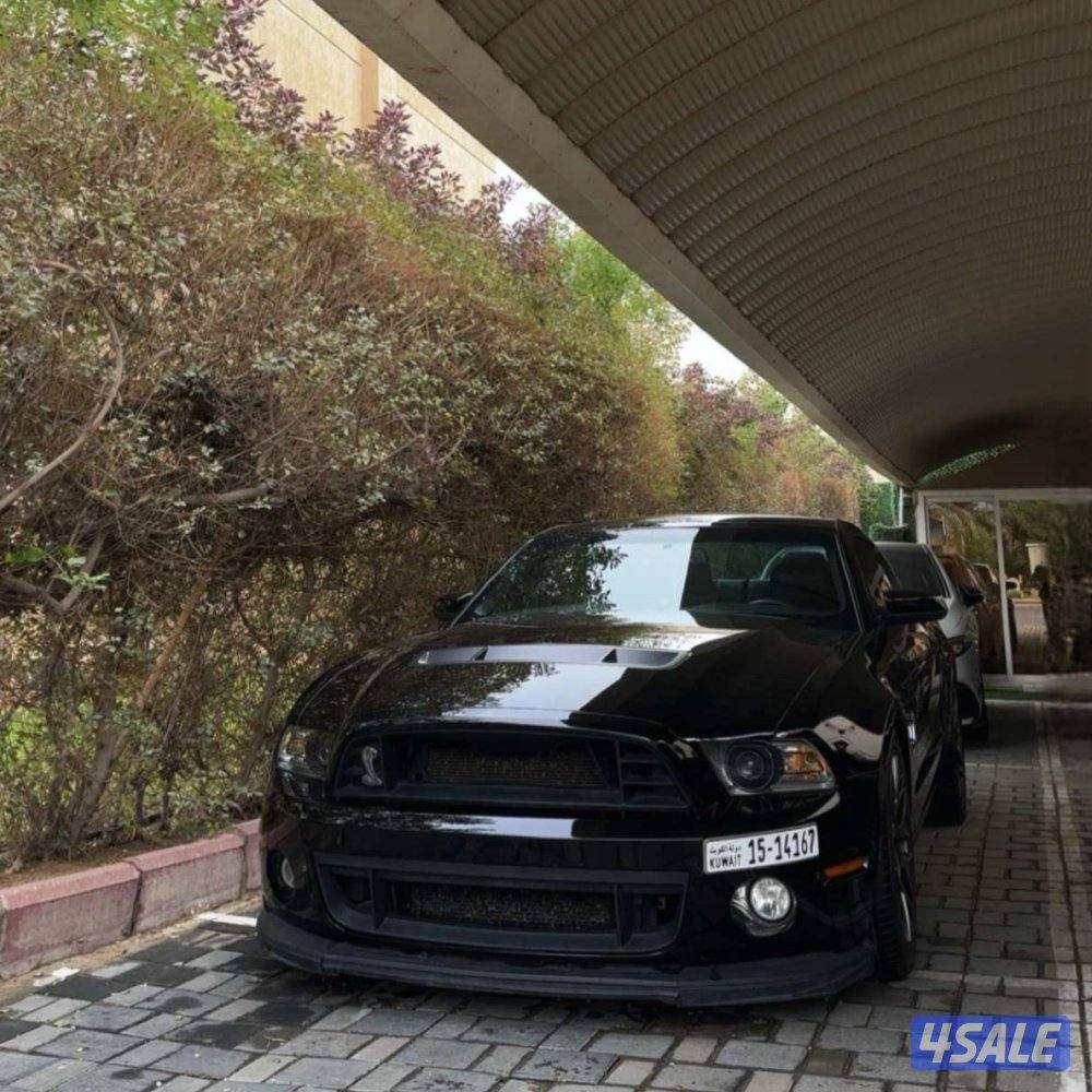 Shelby20111