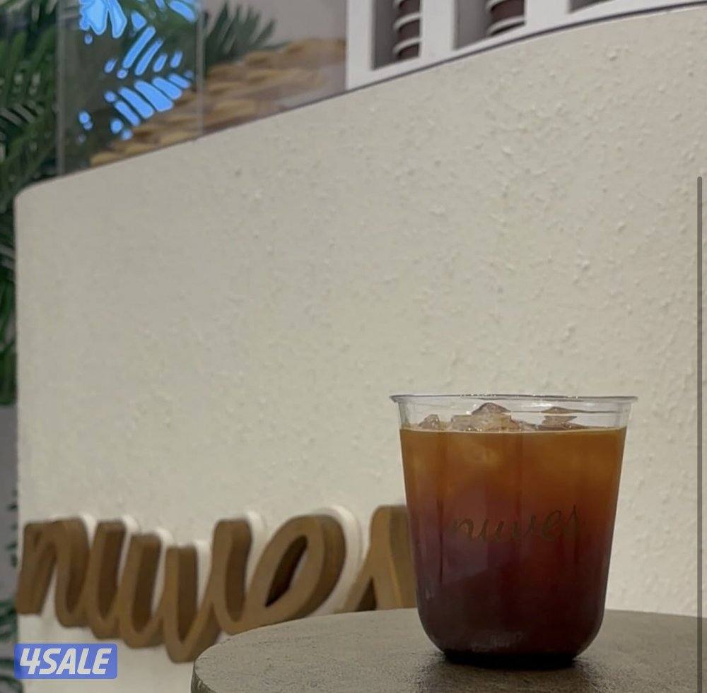 Search about barista1