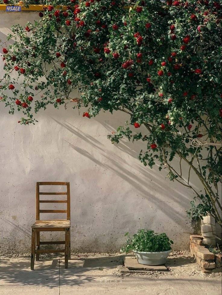 أبحث عن فرصة عمل بدوام كامل1