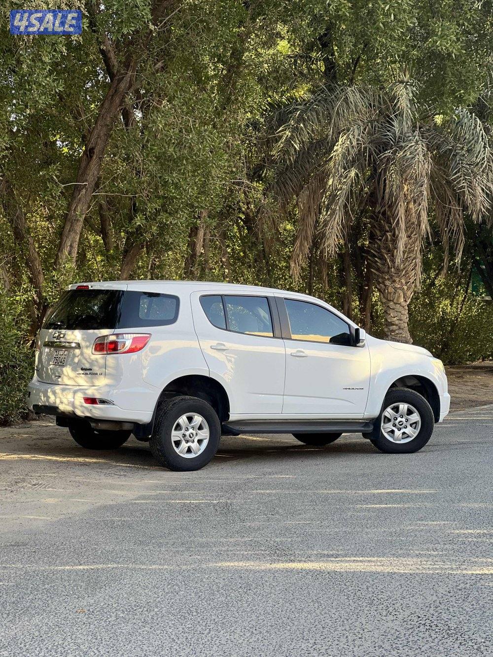 تريل بليزر 2016 صبغ الوكالة3