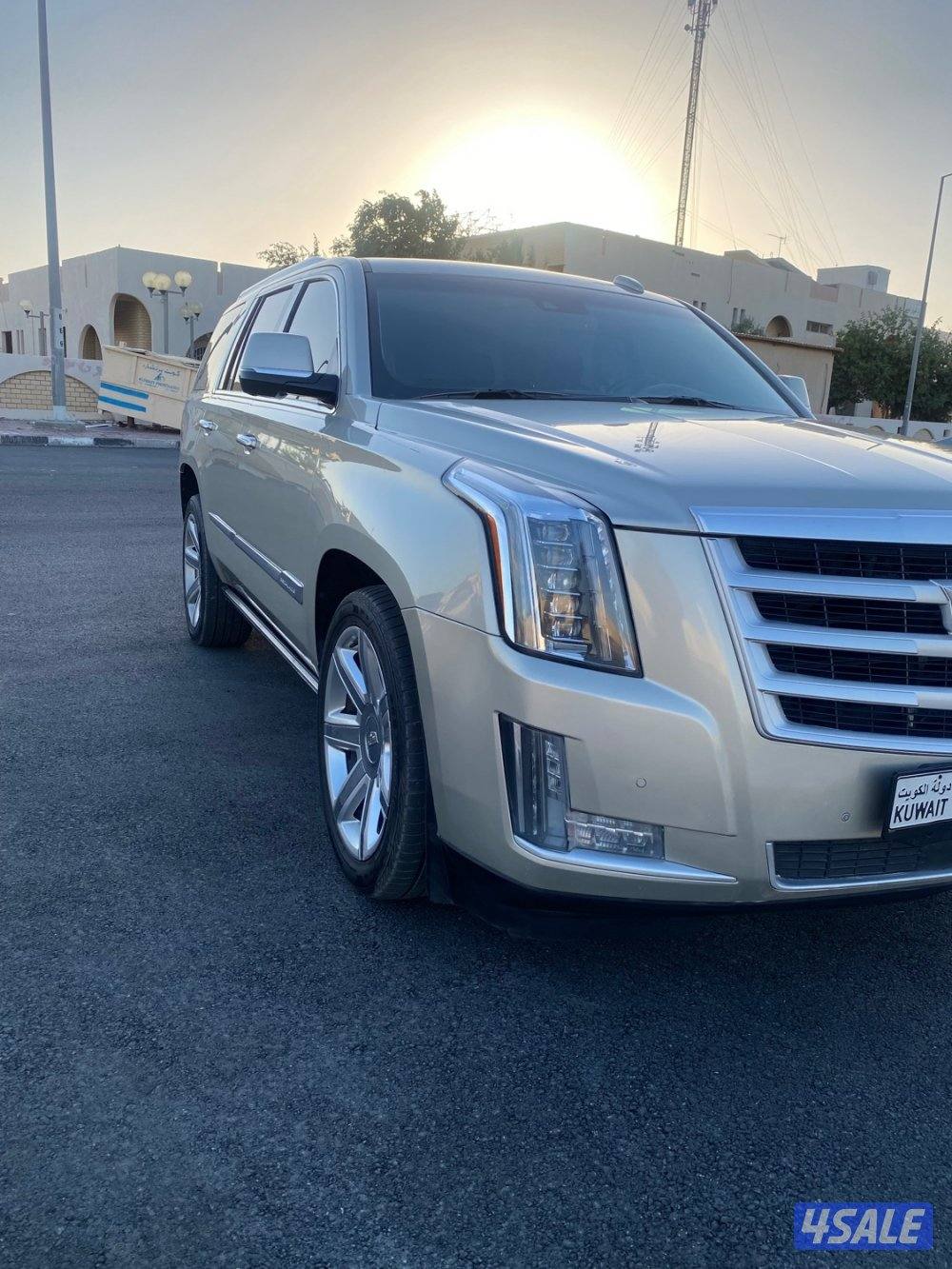 سكليد  صبغ الوكاله1