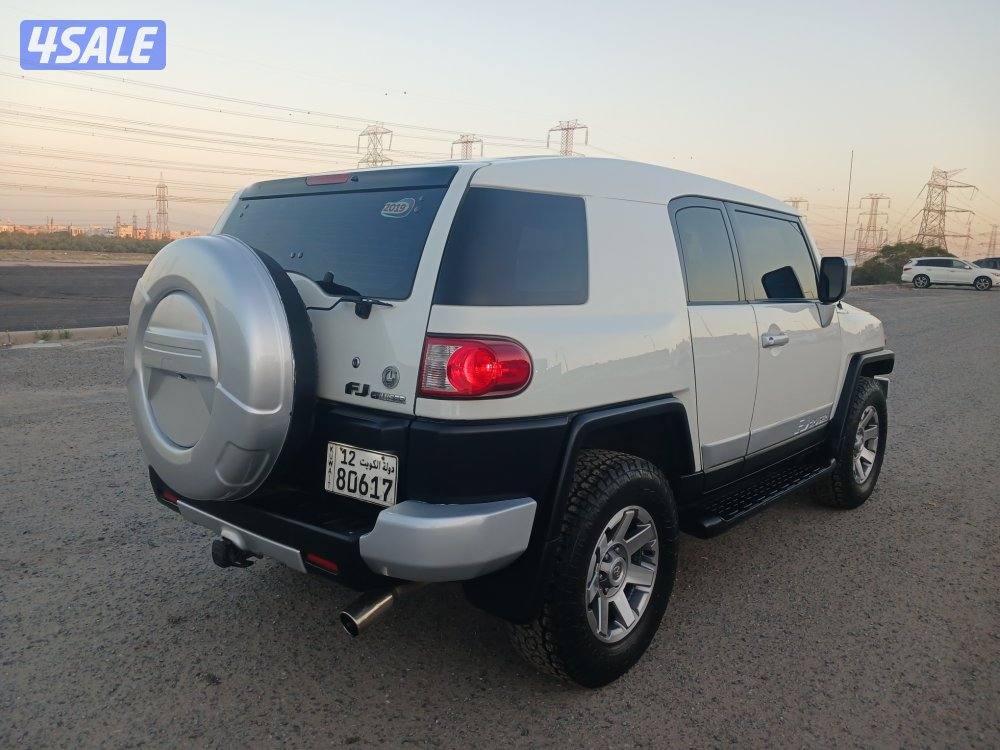 اف جي موديل 2012 الساير.الدرجة الاولي4