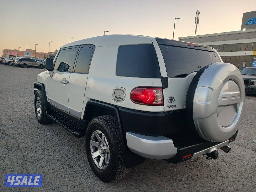 اف جي موديل 2012 الساير.الدرجة الاولي6