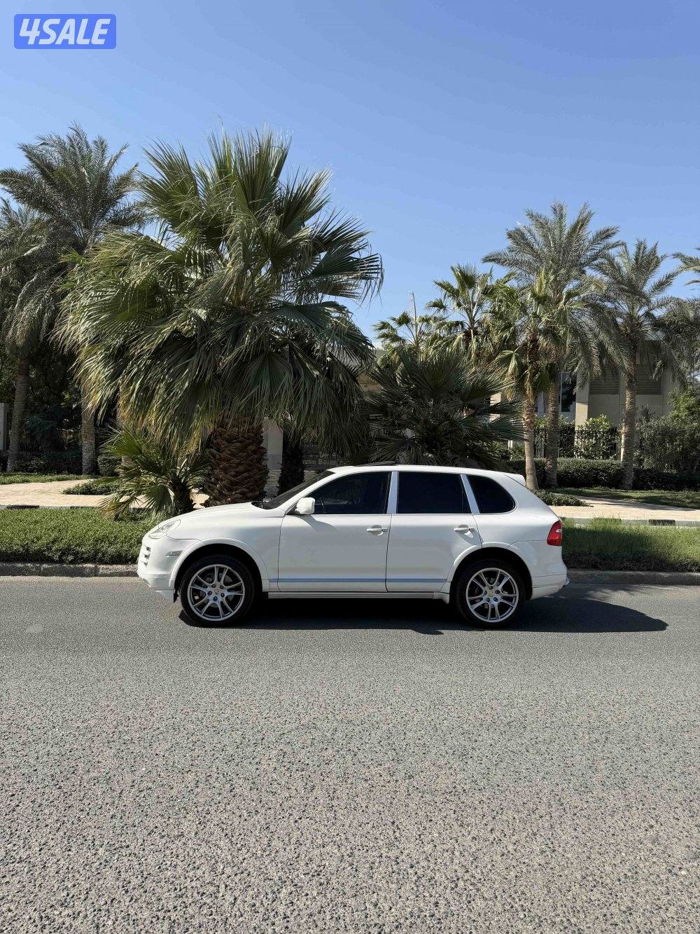 كايين اس تان مرفق الفحص2