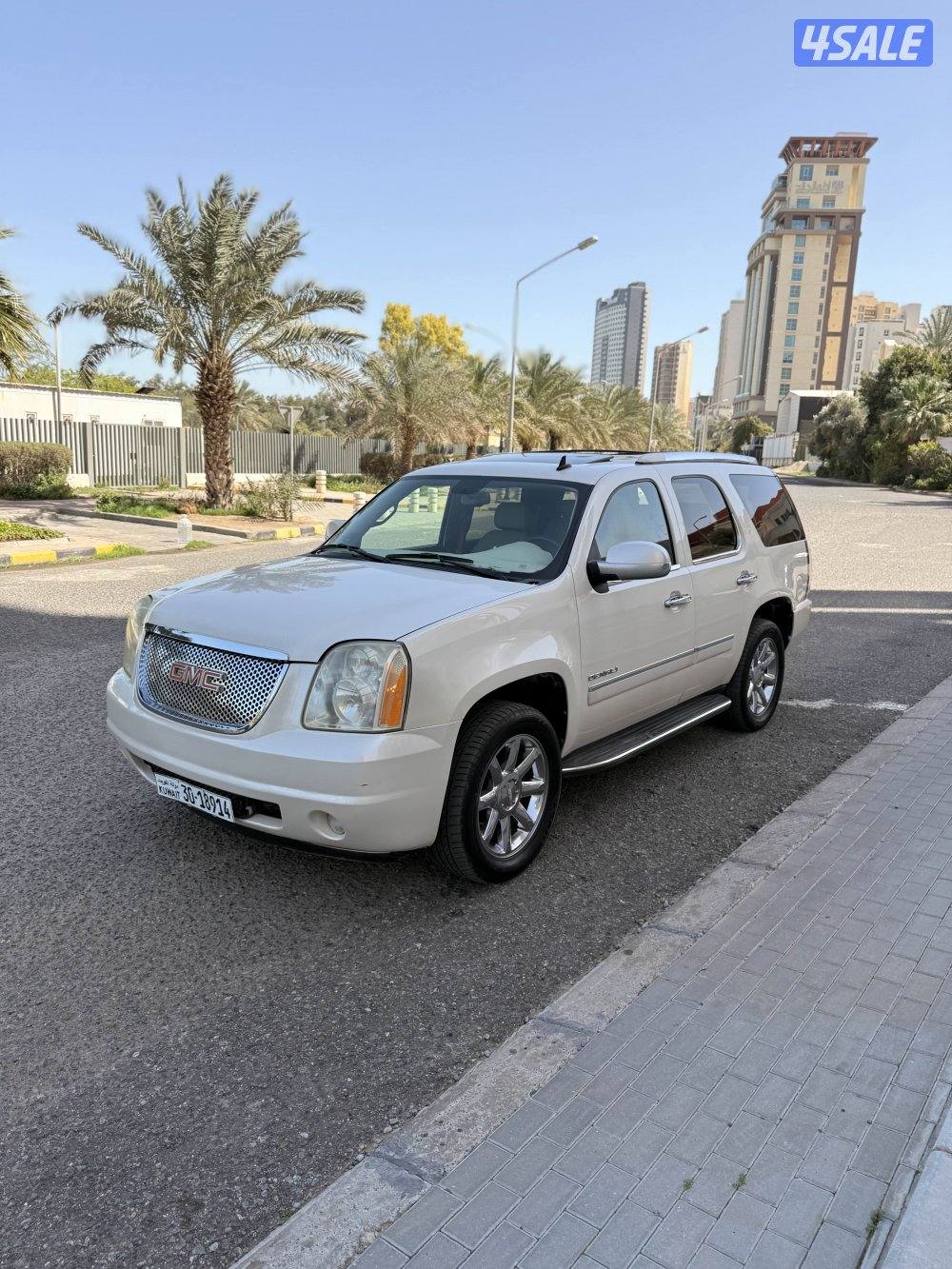 يوكن دينالي 20102