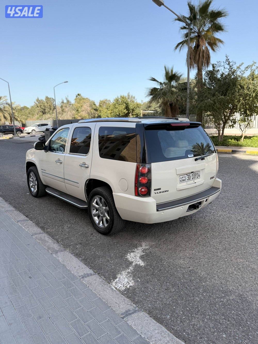 يوكن دينالي 20107