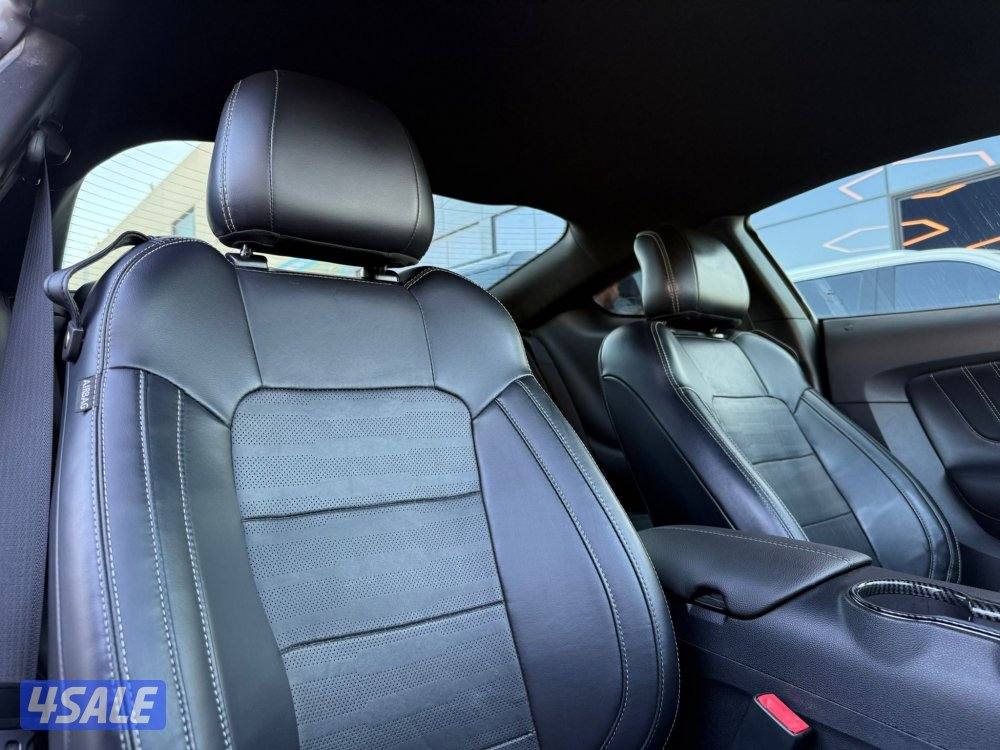 MUSTANG GT 5.0 V8 _20179