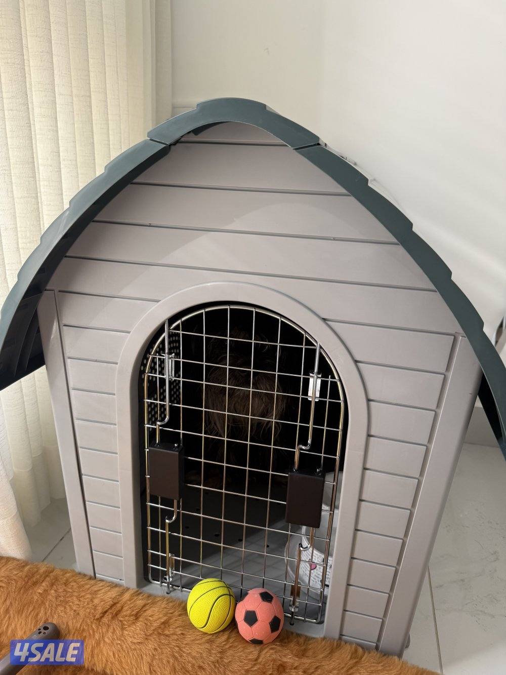 جلب كيوت للبيع 😍2