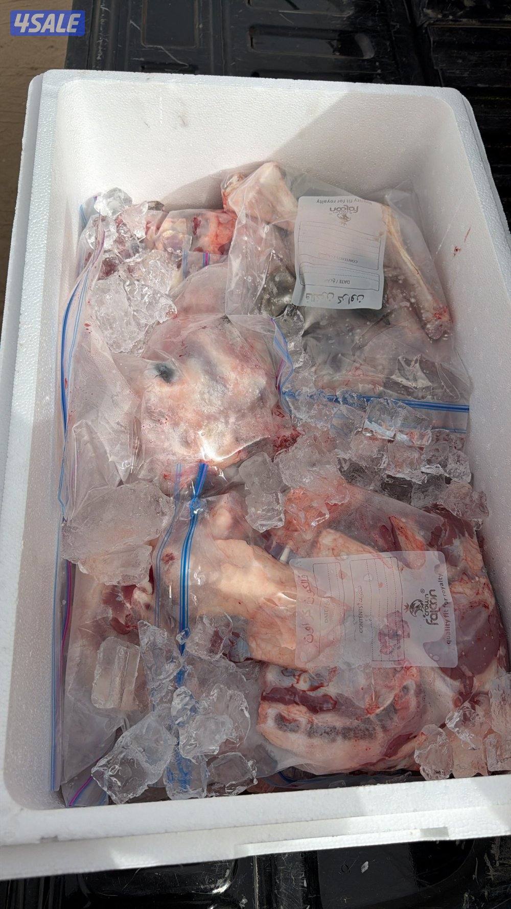 للبيع ذبايح1