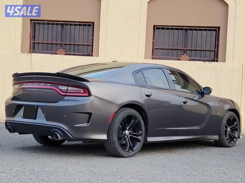 هيمي 2021 - عداد 1175