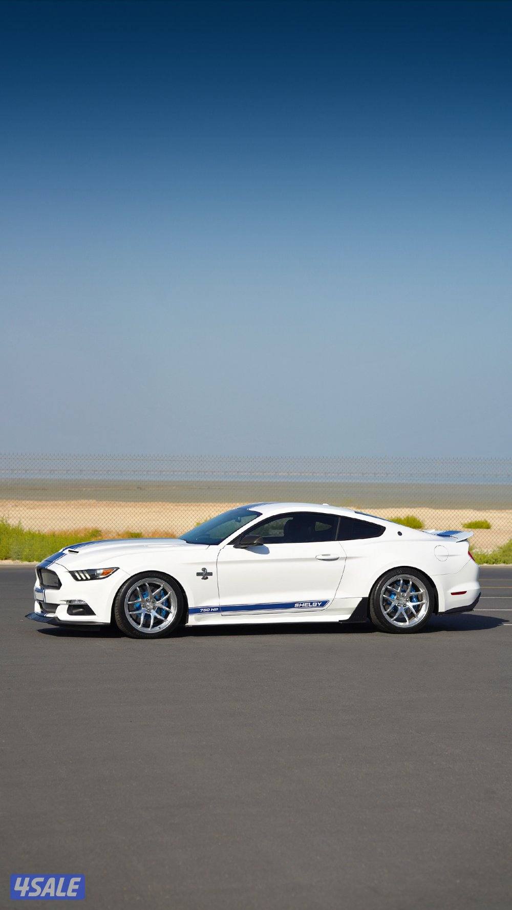 موستنق شيلبي سوبر سنيك اصدار محدود1