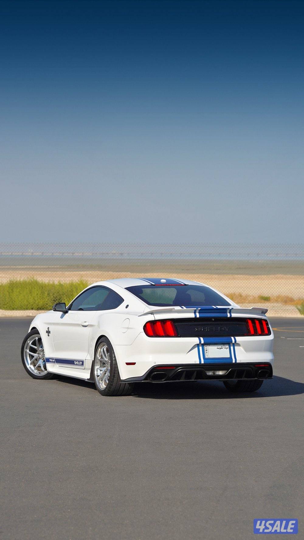 موستنق شيلبي سوبر سنيك اصدار محدود2