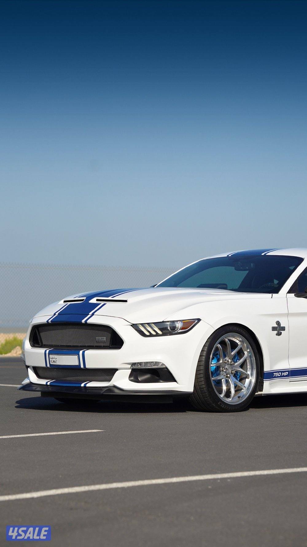 موستنق شيلبي سوبر سنيك اصدار محدود3