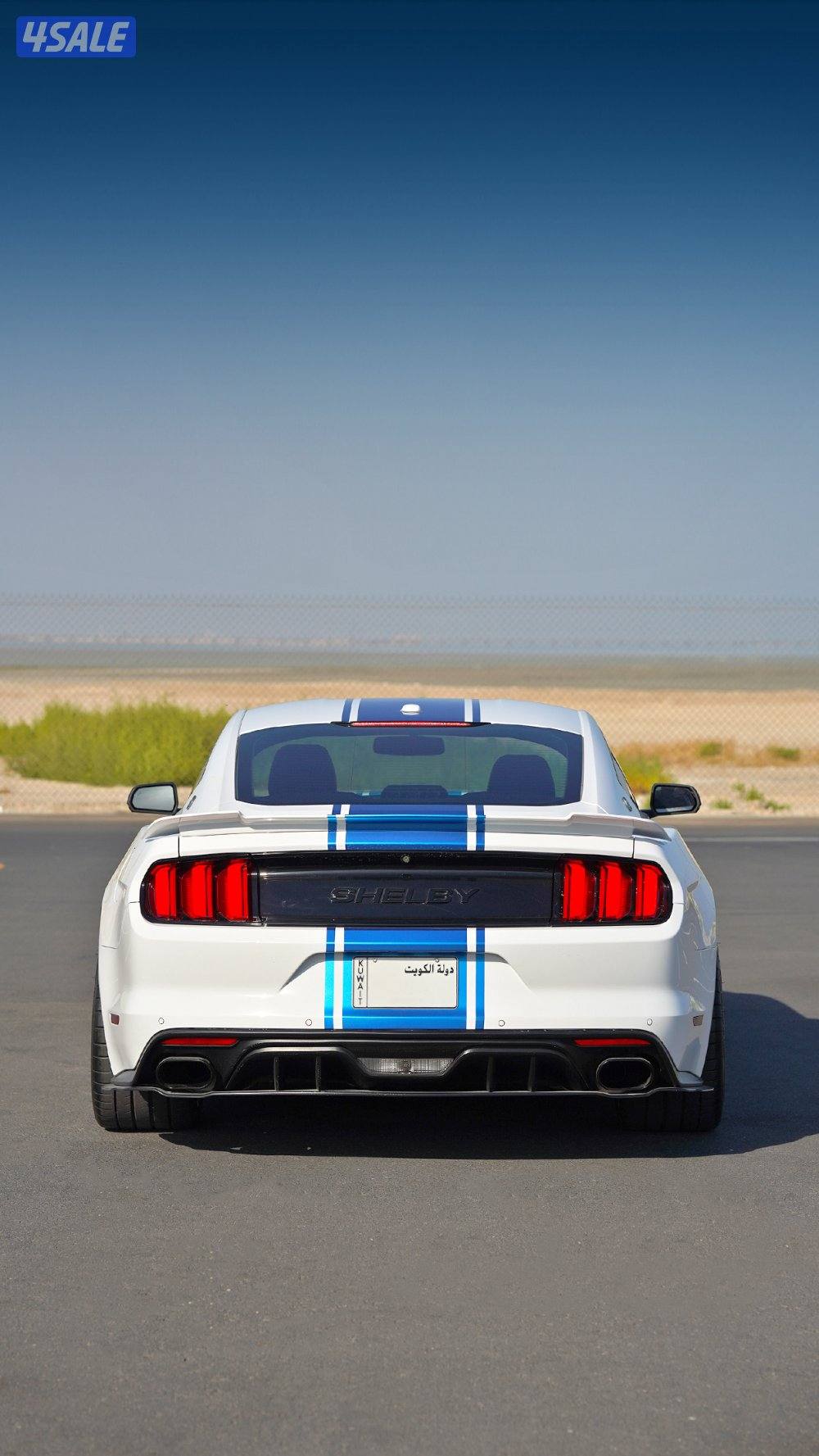 موستنق شيلبي سوبر سنيك اصدار محدود4