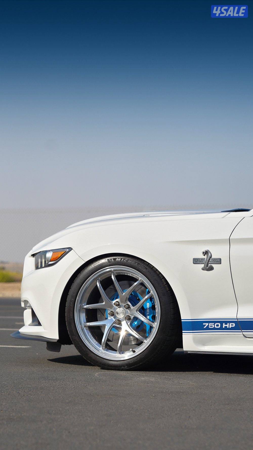 موستنق شيلبي سوبر سنيك اصدار محدود6