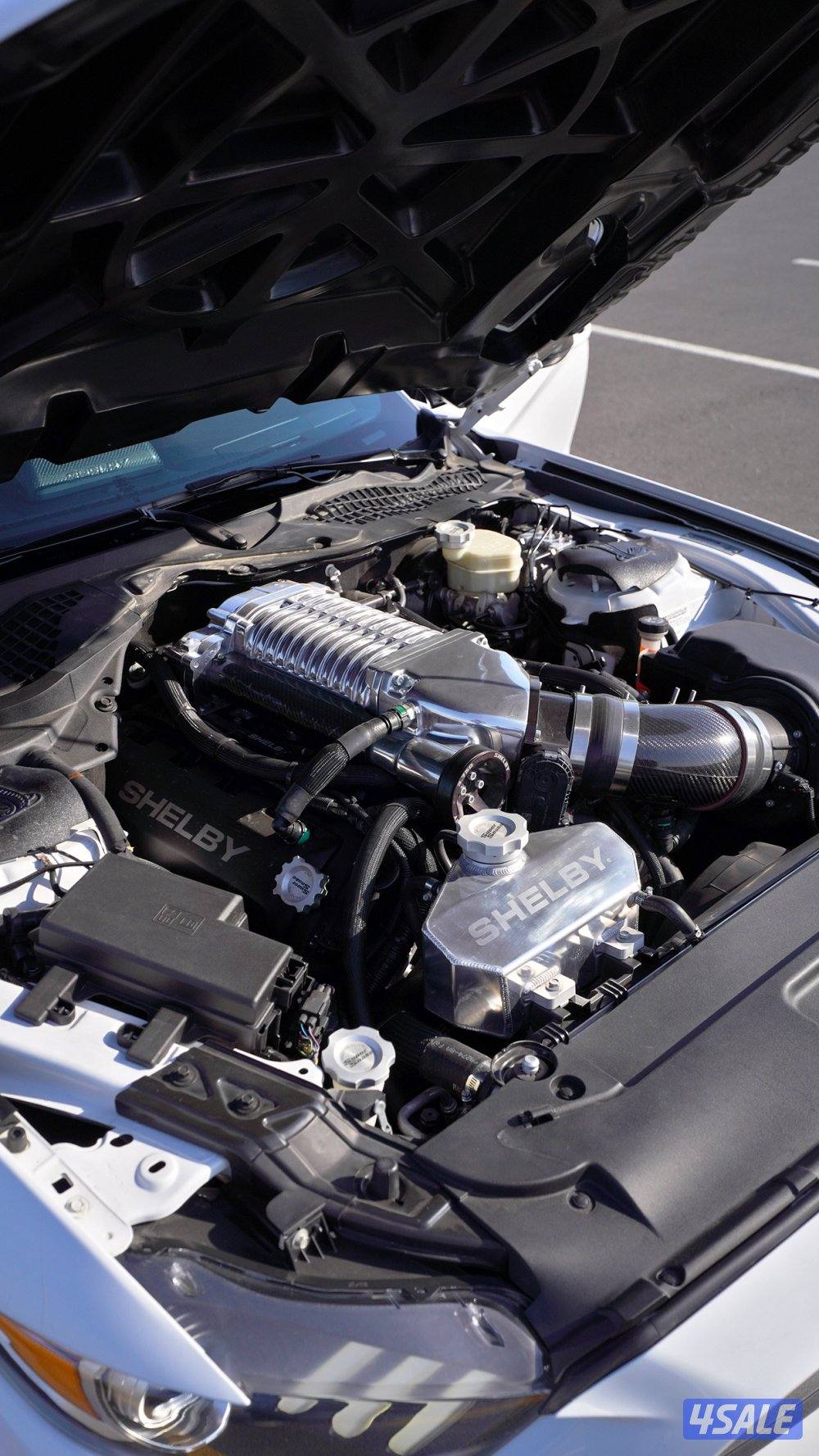 موستنق شيلبي سوبر سنيك اصدار محدود7