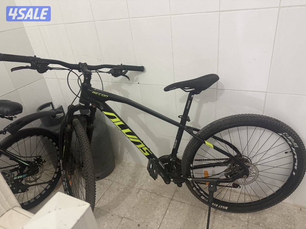 ALVAS REKON 27.50
