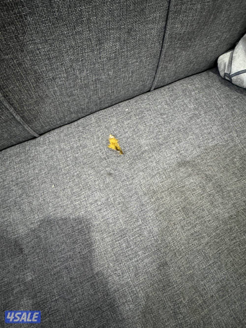 كنب صالة مستعمل1