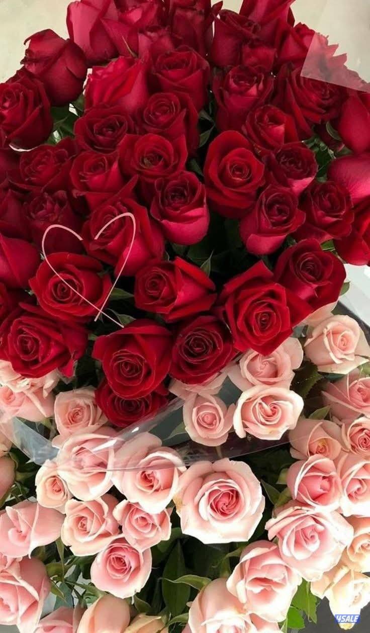 فني كهرباء جميع شقق عطل0