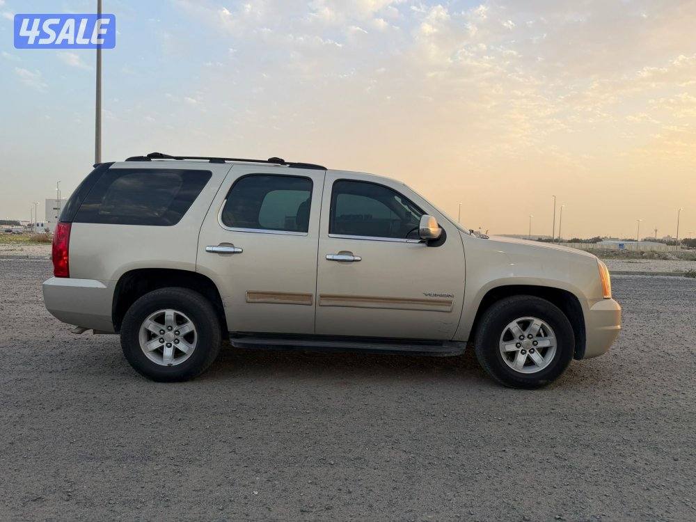 يوكن 2012 صبغ وكالة6