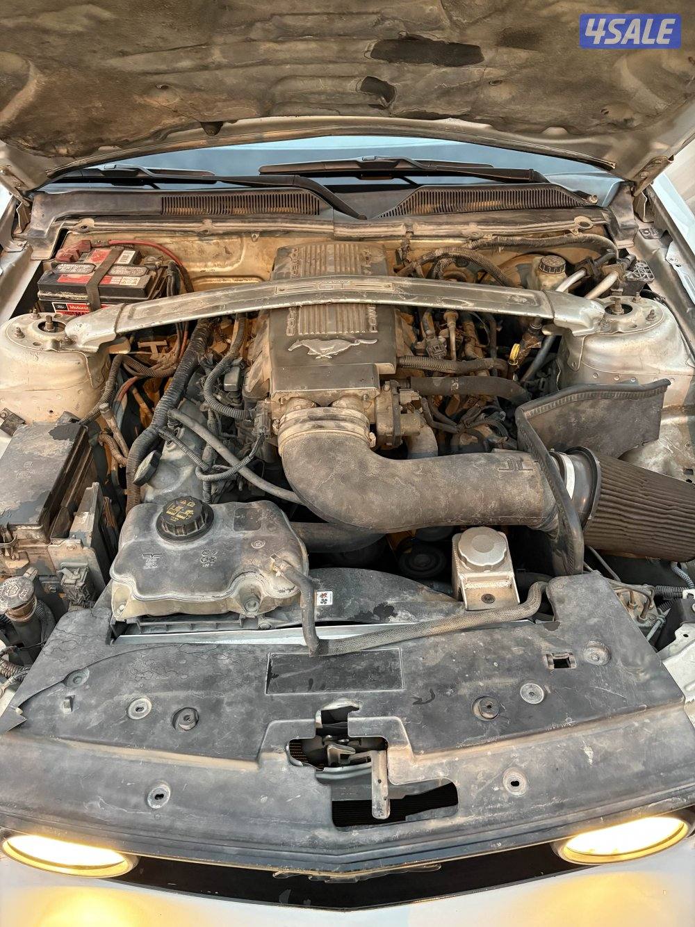 موستنغ 2009  النسخه التذكاريه9