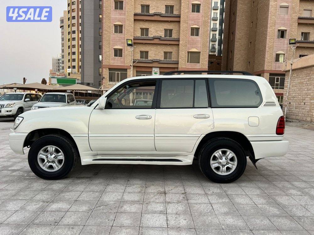 صبغ الوكاله بالكامل5