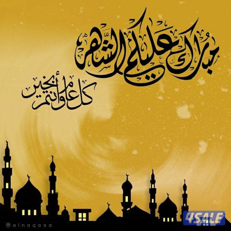 شاب سوري من مواليد الكويت ابحث عن عمل مناسب0