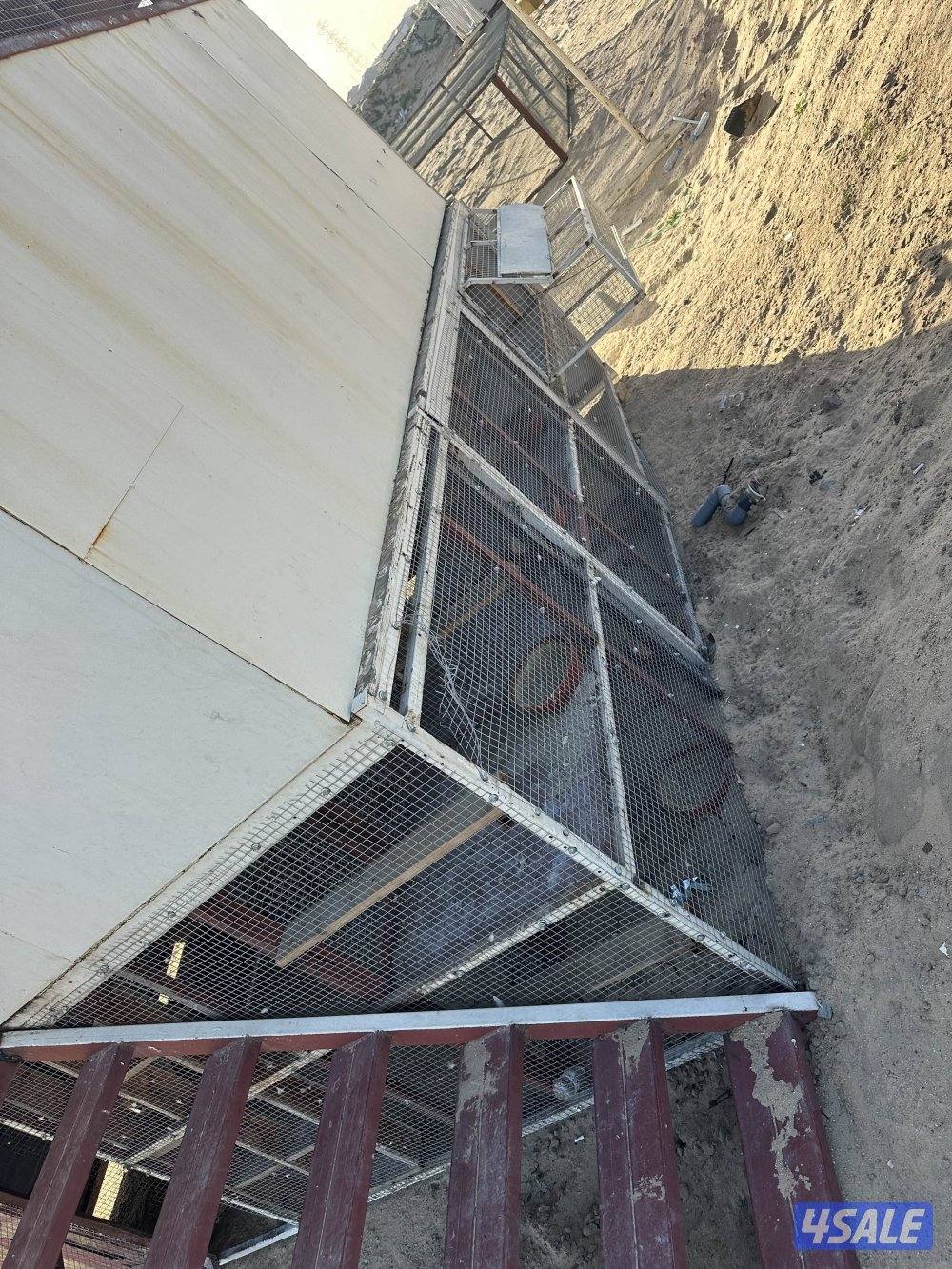 ‏البيع محاكر  حمام1