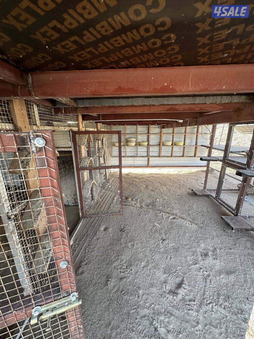 ‏البيع محاكر  حمام5