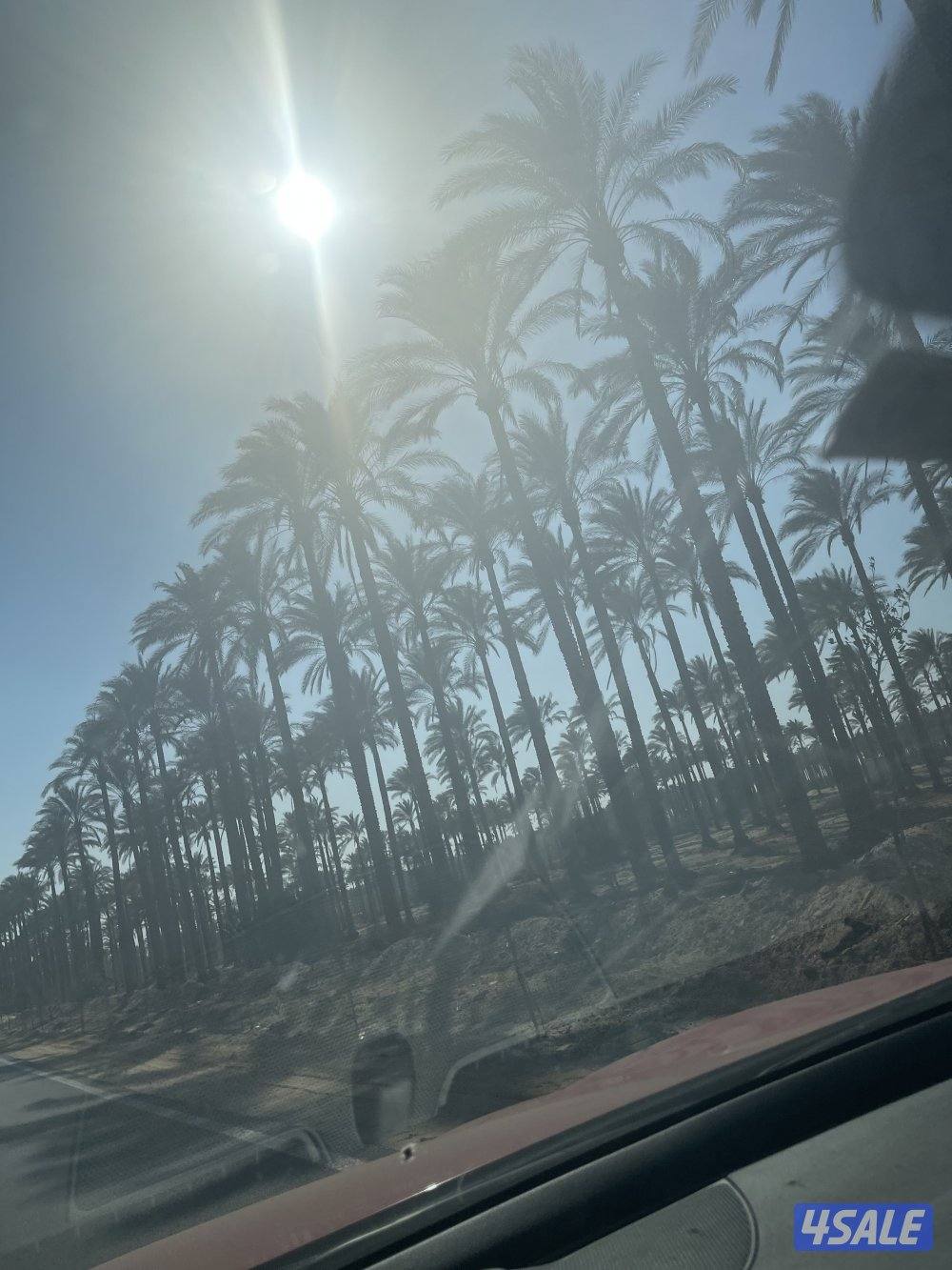 مدير مالي خبرة 25 سنة بالكويت في اعداد الميزانيات والقوائم المالية0