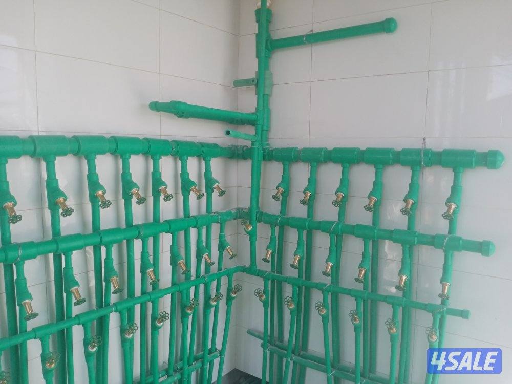 مبارك الكبير11