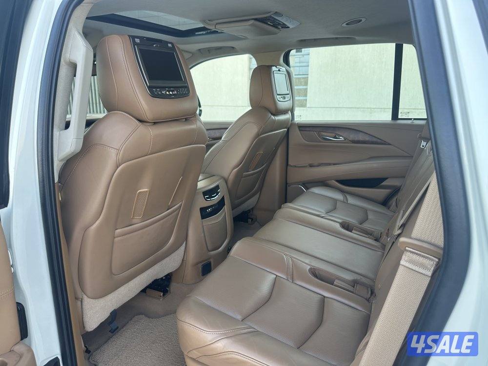 سكاليد بلاتينيوم بحالة نادرة1