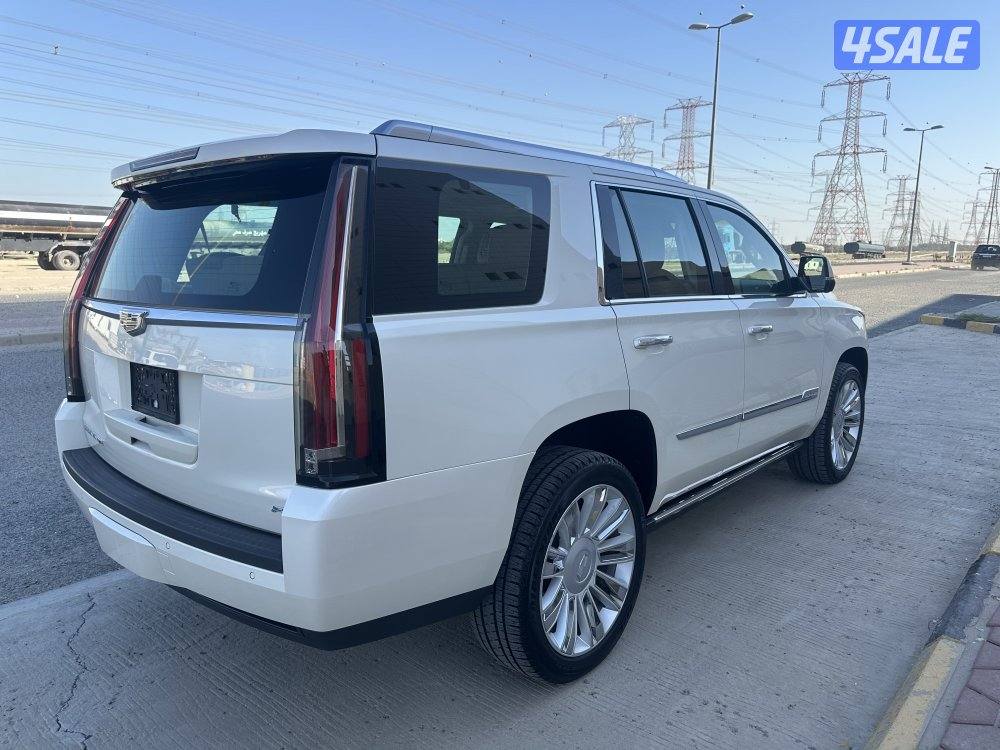 سكاليد بلاتينيوم بحالة نادرة4