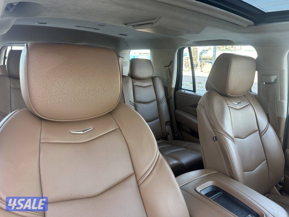 سكاليد بلاتينيوم بحالة نادرة6